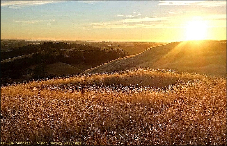 Dawn sun rising over golden grass and the curved earthworks of Oueroa, Hawke's Bay